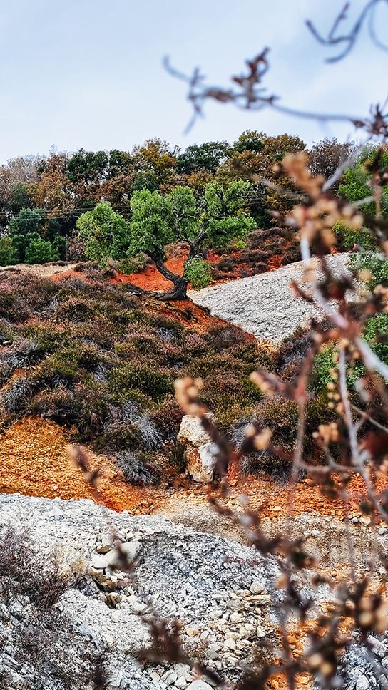 Parco Naturalistico Geotermico delle Biancane