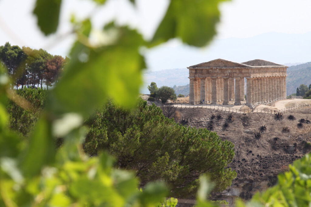 Segesta