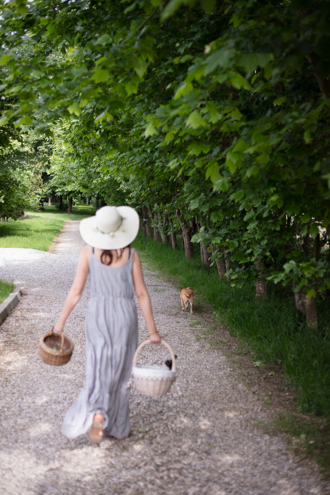 Passeggiate in natura nel nostro parco